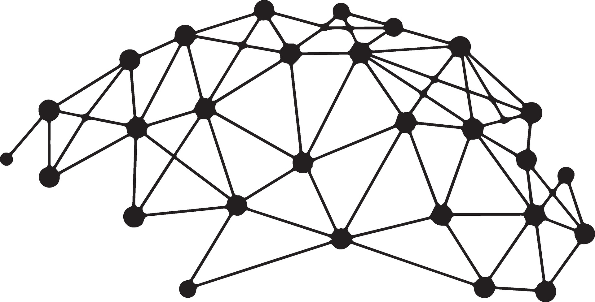 Wireless Network Infrastructure